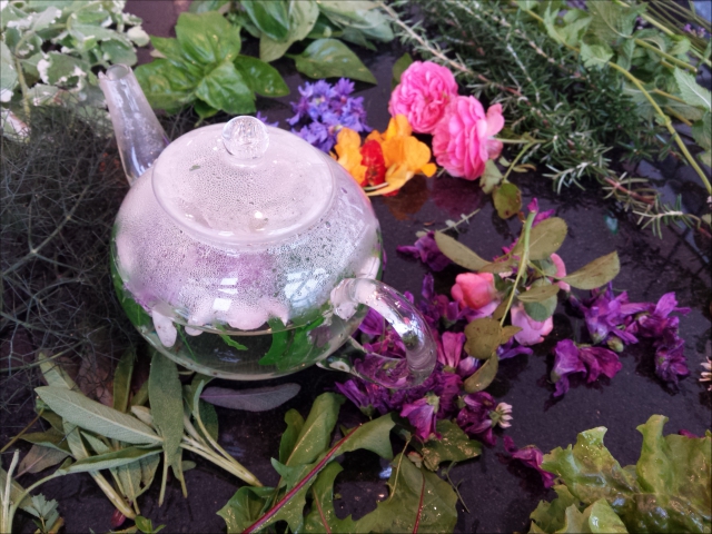 レッスン中には、南アルプスのフレッシュなハーブティーをたくさんいただきます♪
それだけでもかなりの満足感。 レッスン中には、南アルプスのフレッシュなハーブティーをたくさんいただきます♪
それだけでもかなりの満足感。