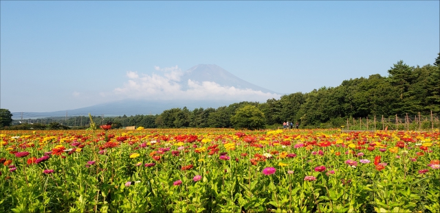 富士五湖で、素敵な夏の思い出をたくさん作ってくださいね♪
富士五湖の魅力を紹介する富士五湖観光連盟のホームページはこちらからご覧いただけます♪
ふじごっこ
https://www.mt-fuji.gr.jp/ 富士五湖で、素敵な夏の思い出をたくさん作ってくださいね♪
富士五湖の魅力を紹介する富士五湖観光連盟のホームページはこちらからご覧いただけます♪
ふじごっこ
https://www.mt-fuji.gr.jp/