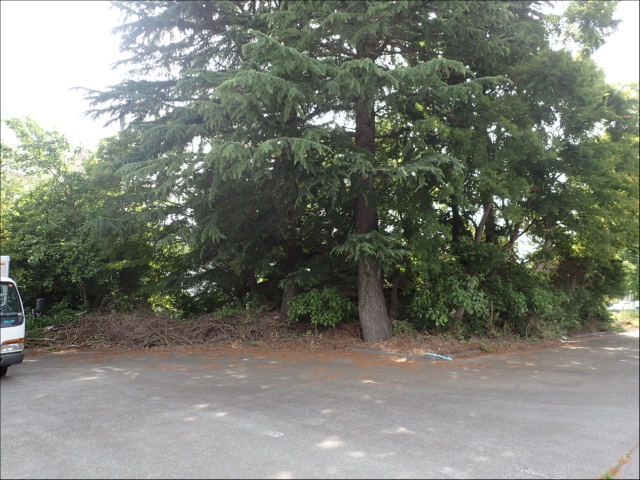 山積する問題をしっかり解決して、お客様の要望に答える