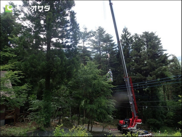 電線もあちこちにあるので、大変な作業です。
電線もあちこちにあるので、大変な作業です。