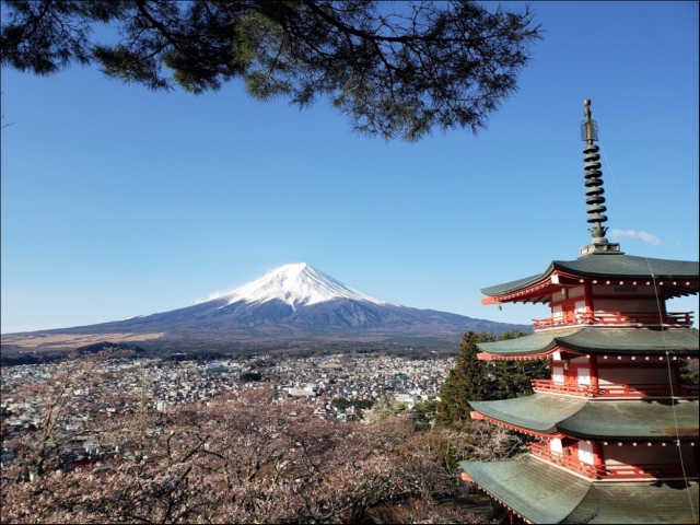 もうすぐ満開だったのですが、雪になってしまいました。

桜祭りが１４日から１９日まで延長されましたので、きっと雪が解けたあとは、満開の桜と富士山を見ることができることでしょう。

ゴールデンウィークも富士北麓地方は、何かしらのお花が咲いていますので、是非お出かけください♪


ご予約は、

フリーダイヤル　0120-58-1118（いいいえ）
e-mail:info@e-osada.com

または、お問い合わせフォームよりお願いいたします。


