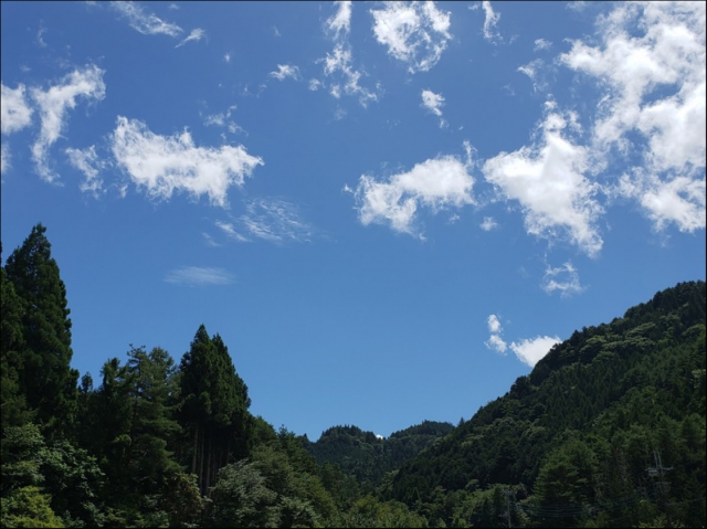 自然に感謝いたします。
いつもでもこの自然が保たれますように^^ 自然に感謝いたします。
いつもでもこの自然が保たれますように^^