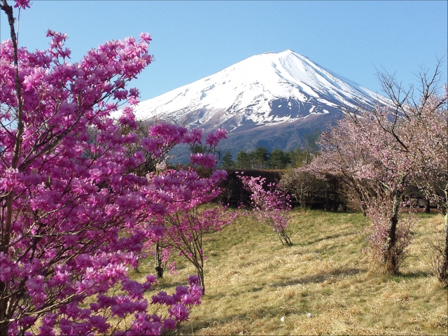 相談会は終了しましたが、平日はもちろん、ゴールデンウィークもご予約いただければご相談可能です。
お気軽にお問合せください。 相談会は終了しましたが、平日はもちろん、ゴールデンウィークもご予約いただければご相談可能です。
お気軽にお問合せください。