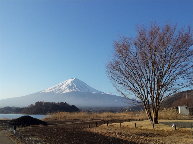 河口湖も湖面の氷はすっかり溶け、穏やかな朝のひと時でした。 河口湖も湖面の氷はすっかり溶け、穏やかな朝のひと時でした。
