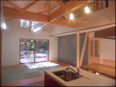 ワンちゃんのために、キッチンの床はコルクボードで仕上げてあります。 ワンちゃんのために、キッチンの床はコルクボードで仕上げてあります。